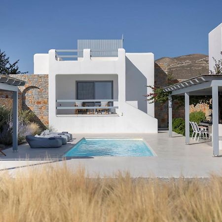 Villa Dione, Private Pool & Seaview By Naxos Dunes Kastrákion Esterno foto